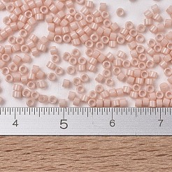 Miyuki Delica Perlen&nbsp;X-SEED-J020-DB1493