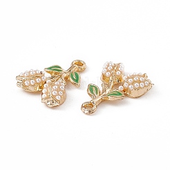 Подвески из эмали и сплава&nbsp;ENAM-K066-06G