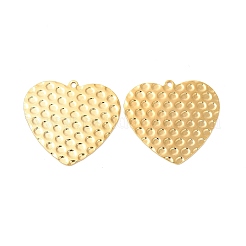 Pendentifs en acier inoxydable 304 avec placage ionique (IP)&nbsp;STAS-L268-019G