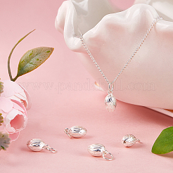 5 шт. 925 подвески из стерлингового серебра&nbsp;STER-BBC0005-35S