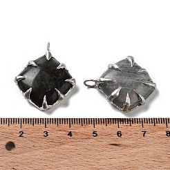 Природные подвески лабрадорита&nbsp;G-G069-02P