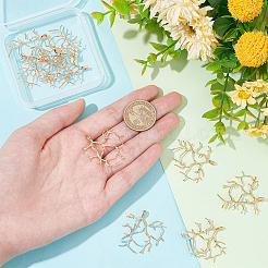 Латунные подвески&nbsp;FIND-NB0004-20G