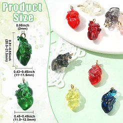 12 pz 12 colori pendenti in resina 3D trasparente&nbsp;RESI-CJ0005-29