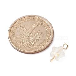 Подвески для стеклянных соединителей&nbsp;PALLOY-JF02339-02