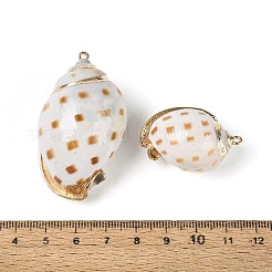 Подвески из натуральной спиральной раковины с гальваническим покрытием&nbsp;SSHEL-N042-13