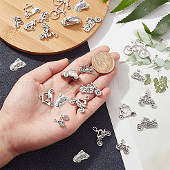 Подвески из сплава в тибетском стиле&nbsp;FIND-SC0002-31