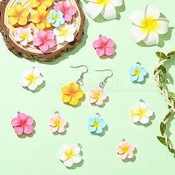 20 шт. подвески из смолы плюмерия 5 цветов&nbsp;RESI-YW0004-66