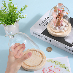 1 couvercle de dôme en verre&nbsp;AJEW-SC0002-61E