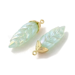 Подвески из смолы с радужным переливающимся покрытием&nbsp;LS-RESI-C047-03D-G