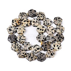 Natur Dalmatiner Jaspis Perlen Stränge&nbsp;G-N368-01A-03