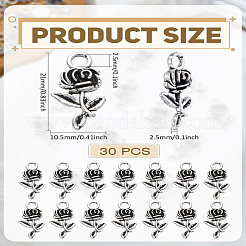 30 шт. Подвески из сплава в тибетском стиле&nbsp;FIND-LP0004-68AS