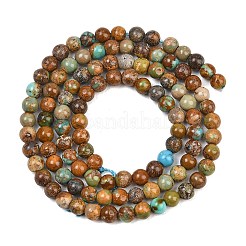 Natürliche afrikanische türkis (jasper) perlen stränge&nbsp;G-Z163-B02-4mm