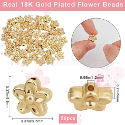 50 шт. латунные бусины с покрытием стойки&nbsp;KK-BBC0015-76