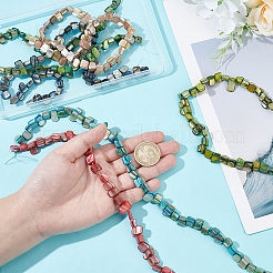 6 нити 6 цвета эрозированные ракушечные бусины нити&nbsp;BSHE-HY0001-05