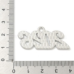 Aluminium Anhänger & Charms&nbsp;FIND-Z108-06P