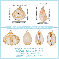24 шт. 6 стиля подвески из натуральных ракушек с гальваническим покрытием&nbsp;SSHEL-ME0001-03