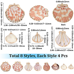 32 pieza de 8 estilos de colgantes de concha mixta natural galvanizada&nbsp;SSHEL-SC0001-62D