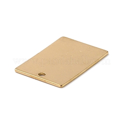 Placcatura ionica (ip) 201 ciondolo in acciaio inossidabile&nbsp;LS-STAS-Z038-01G-C