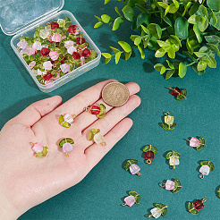 60шт подвески ручной работы лэмпворк FIND-DC0004-83