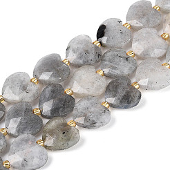Природные лабрадорита бисер нитей&nbsp;G-P592-B14-01