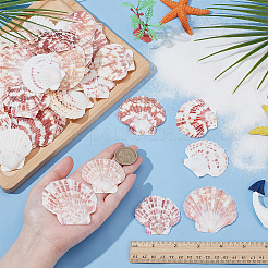 2 стиль натуральная оболочка&nbsp;SSHEL-WR0001-06B