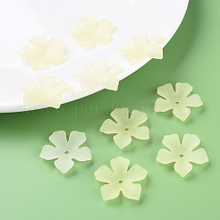 Прозрачные акриловые бусины&nbsp;MACR-S373-119-D03