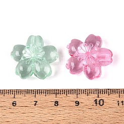 Прозрачные акриловые бусины&nbsp;TACR-T030-26M