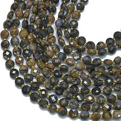 Бусины из натурального глаукофана G-K389-B13-01