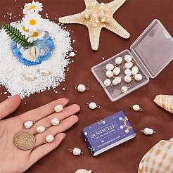 30 шт.&nbsp;PALLOY-SC00003