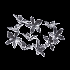 Прозрачные колпачки акриловая бисера&nbsp;TACR-G050-04A