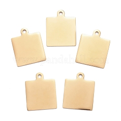 Pendentifs en acier inoxydable 304&nbsp;LS-STAS-I140-23B-G