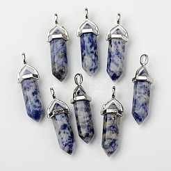 Pendentifs pointus à double terminaison en jaspe tacheté bleu naturel&nbsp;G-F295-04C