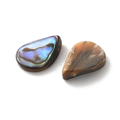 Бусины из натуральной ракушки пауа&nbsp;SSHEL-F305-02A