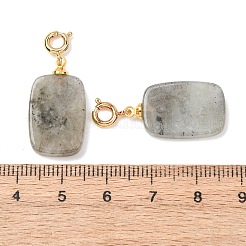 Décorations pendentifs en labradorite naturelle&nbsp;G-G461-01G-07