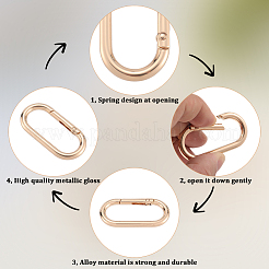 6 anneau de porte à ressort en alliage&nbsp;FIND-SP0001-24KCG