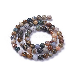 Fili di perle di agata / diaspro oceaniche naturali&nbsp;G-G772-03-D
