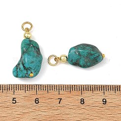 Pendenti in magnesite naturale tinta&nbsp;PALLOY-JF05937-02