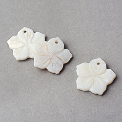 Ciondoli di guscio , fiore, bianco crema, 21~21.5x22~22.5x2~3mm, Foro: 2 mm
