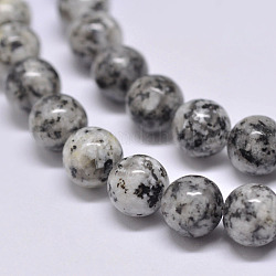 Fili di perle di diaspro / kiwi di sesamo naturale, tondo, grigio, 6mm, Foro: 1 mm, circa 62pcs/filo, 15.1 pollice
