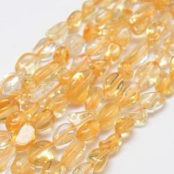 Chapelets de perles de citrine naturelle, pierre roulée, pépites, teints et chauffée, 6~8x4~6mm, Trou: 1mm, 15.3 pouce (39 cm)