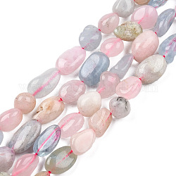 Chapelets de perles en morganite naturelle, ovale, 8~15x7~12x4~12mm, Trou: 1mm, Environ 30~45 pcs/chapelet, 15.7