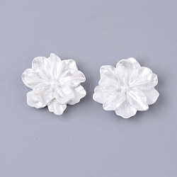 Cabochons en résine, style de perle d'imitation, fleur, blanc, 23~24x23~24x7mm