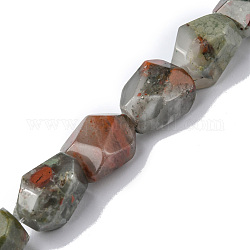 Fili di perline di pietra del sangue afican naturale, sfaccettato, pepite, 16~17x11~13x11~13mm, Foro: 1.5 mm, circa 13pcs/filo, 8.46~8.58 pollice (21.5~21.8 cm)