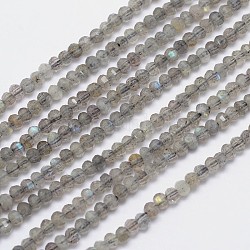 Chapelets de perles en labradorite naturelle, facettes rondelle, 3x2.5mm, Trou: 1mm, Environ 150 pcs/chapelet, 15.5 pouce