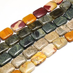 Mixed Style Natural Rectangle Gemstone Beads Strands, 25x18x7mm, Hole: 1mm, about 16pcs/strand, 15.74inch