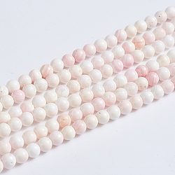 Brins de perles de coquillage rose naturel, ronde, 2.5~3mm, Trou: 0.5mm, environ 154 pcs / brin, 15.94 pouce (40.5 cm)