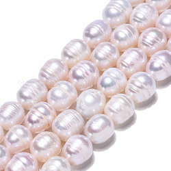 Brins de perles de culture d'eau douce naturelles, riz, couleur de coquillage, 10~12x9~10mm, Trou: 0.7mm, Environ 32~33 pcs/chapelet, 13.39 pouce (34 cm)