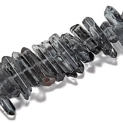 Brins de perles de cristal de quartz naturel, teinte, pépites, noir, 15~30x4~8x4~7mm, Trou: 1mm, 8 pouce