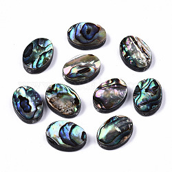 Perle di conchiglia abalone naturale / conchiglia paua, ovale, colorato, 14.5x10.5x3.5mm, Foro: 1 mm