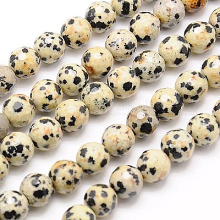 Chapelets de perles en jaspe de dalmation naturelle G-G542-8mm-07-1